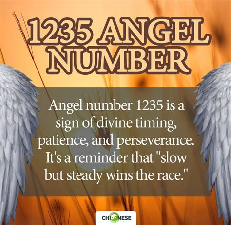 1235 angel number twin flame|1235 Angel Number Meaning